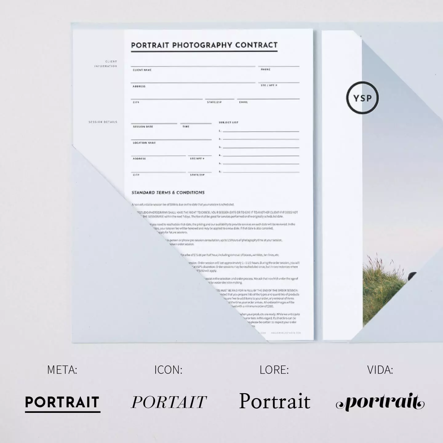 DesignAglow Portraits & Families Essential Portrait Contract & Forms