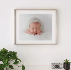 NW Framing Framed Prints Framed Print: 24x20