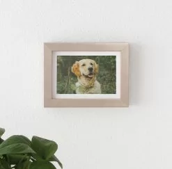 NW Framing Framed Print: 7x5 Framed Prints