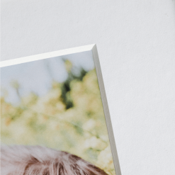 NW Framing Framed Prints Framed Print: 5x7