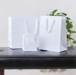 Paper Shop Gift Bags