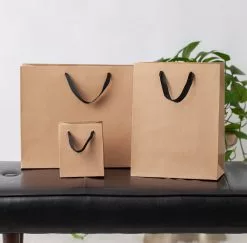 Paper Shop Gift Bags