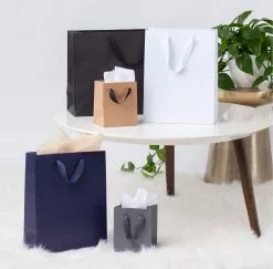Paper Shop Gift Bags