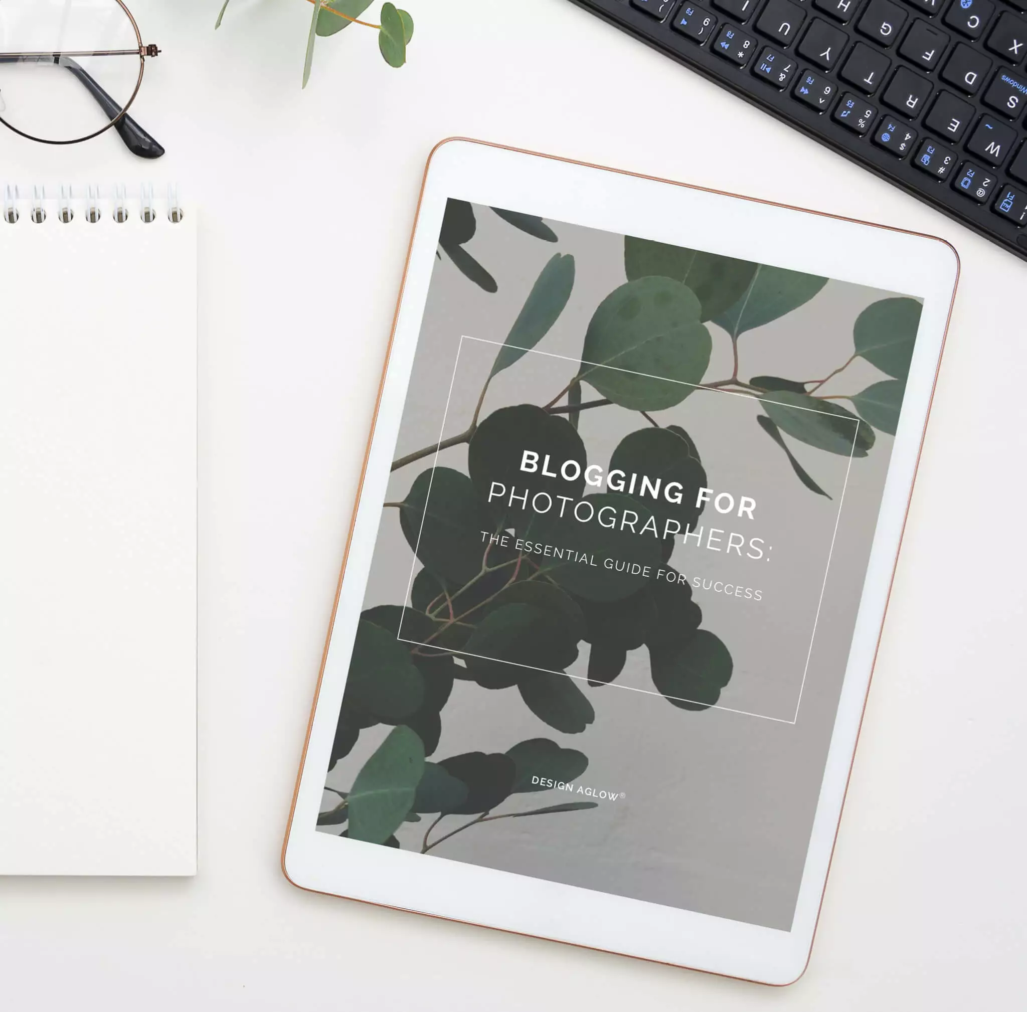 DesignAglow The Essential Guide To Blogging For Photographers Success Guides