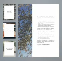 DesignAglow The Essential Guide To Blogging For Photographers Success Guides