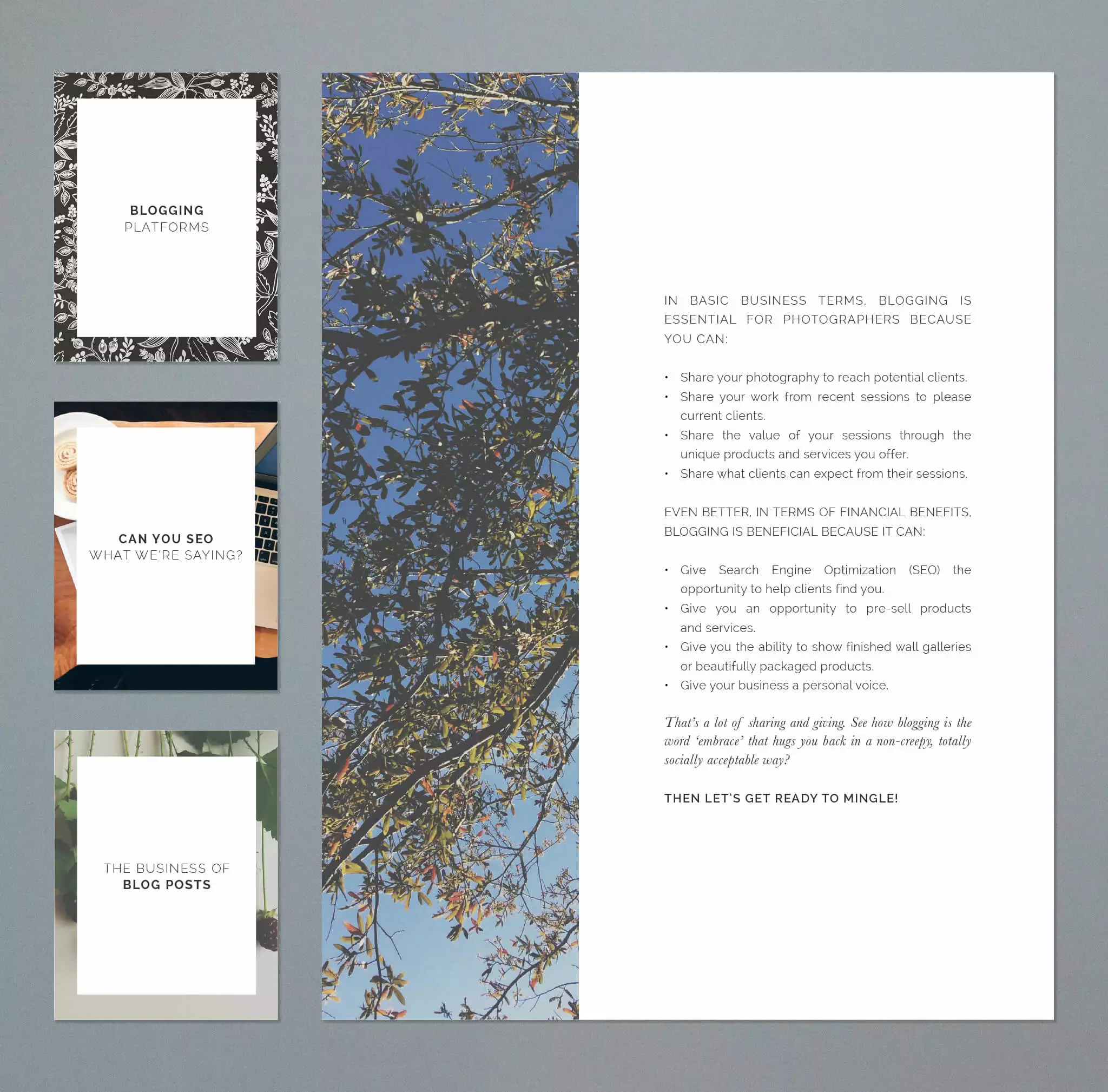 DesignAglow The Essential Guide To Blogging For Photographers Success Guides