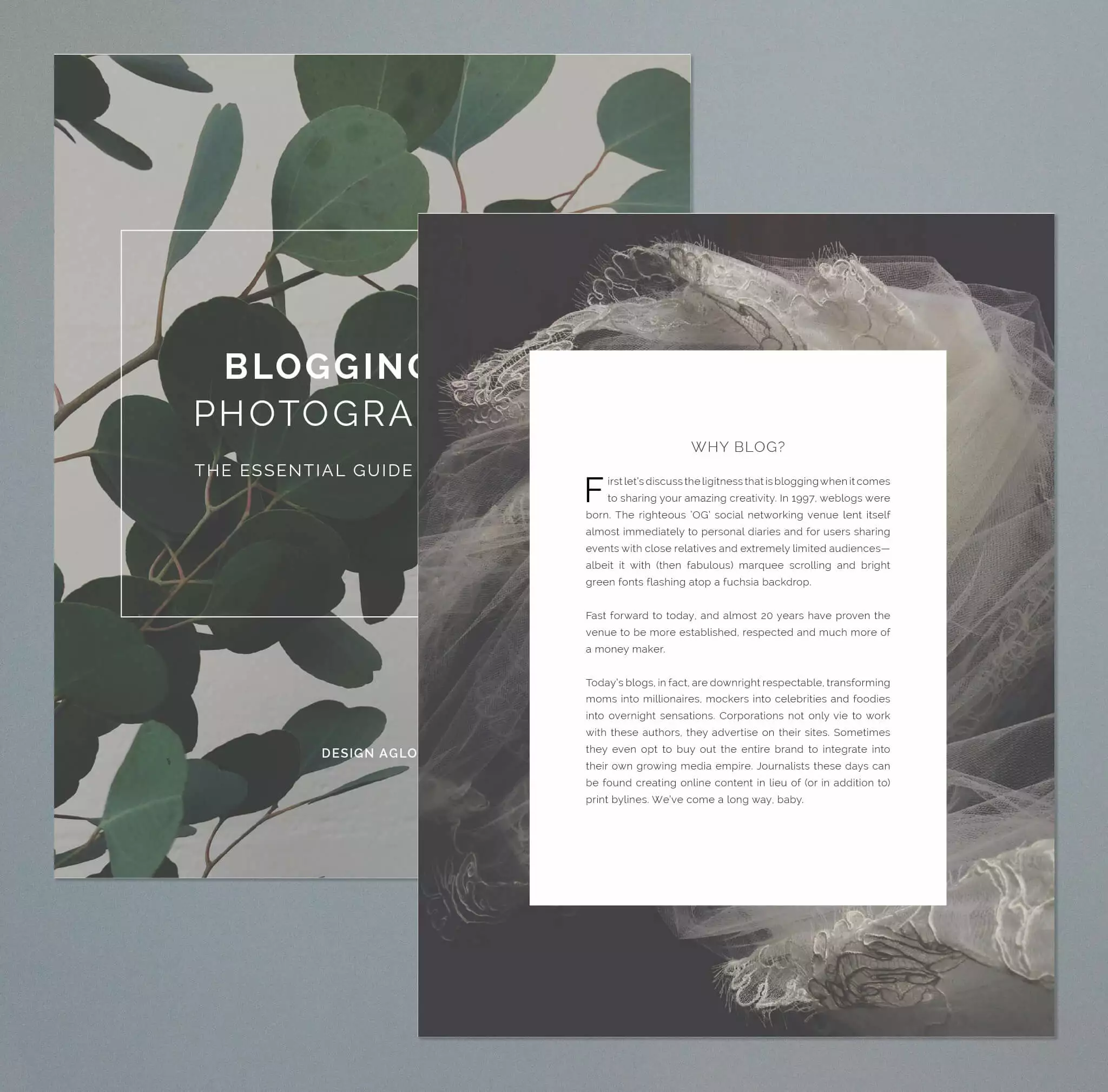 DesignAglow The Essential Guide To Blogging For Photographers Success Guides