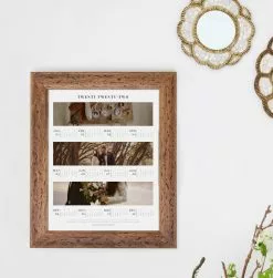 DesignAglow Photo Calendars: The Essential Collection Collages & Calendars