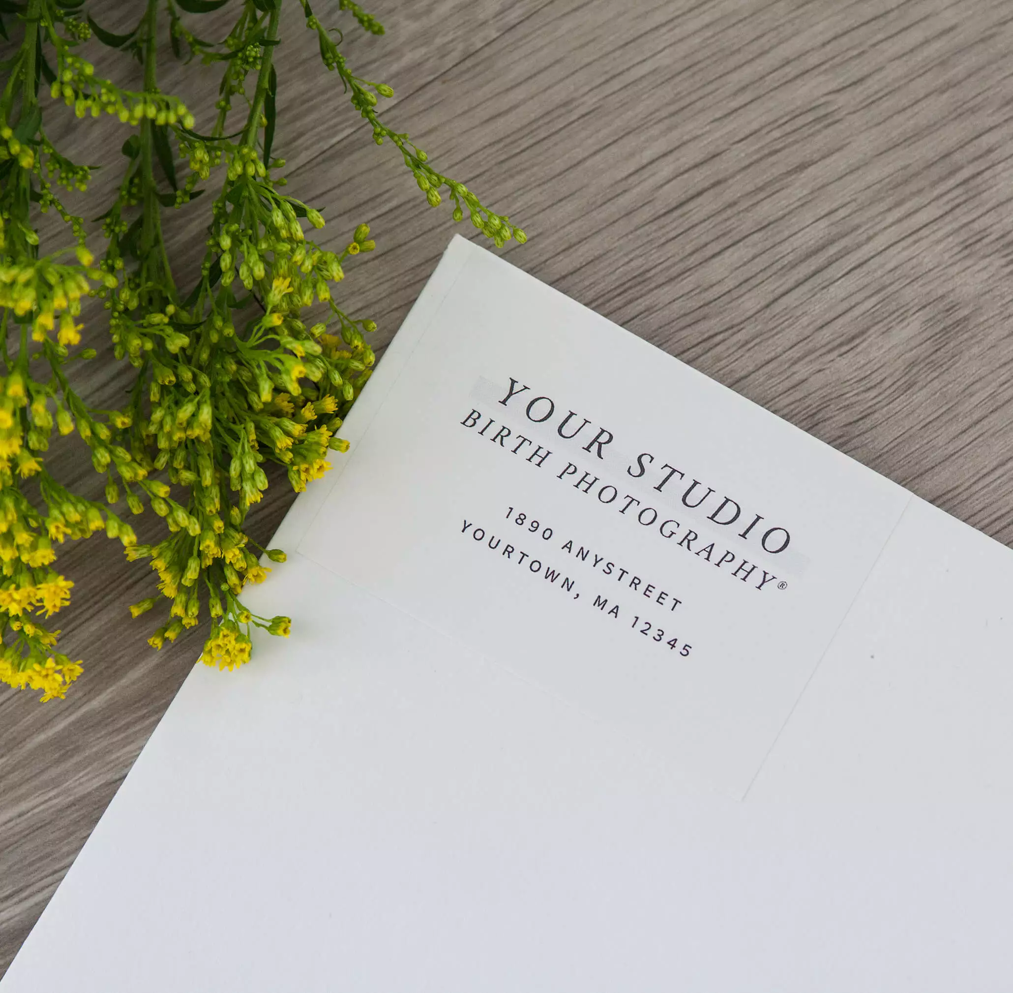 DesignAglow Birth Photography Welcome Packet Babies & Maternity