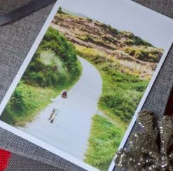 DesignAglow Holiday Cards: Eclectic Collection