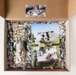 Paper Shop Gift Mailer Boxes Photo Boxes