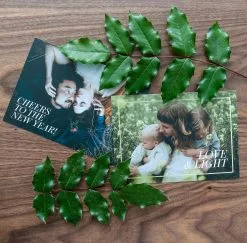 DesignAglow Dark & Moody ICON Holiday Cards