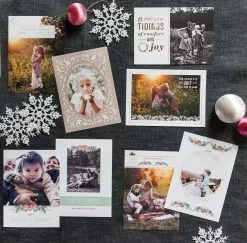 DesignAglow Holiday Cards: Painted Floral Collection