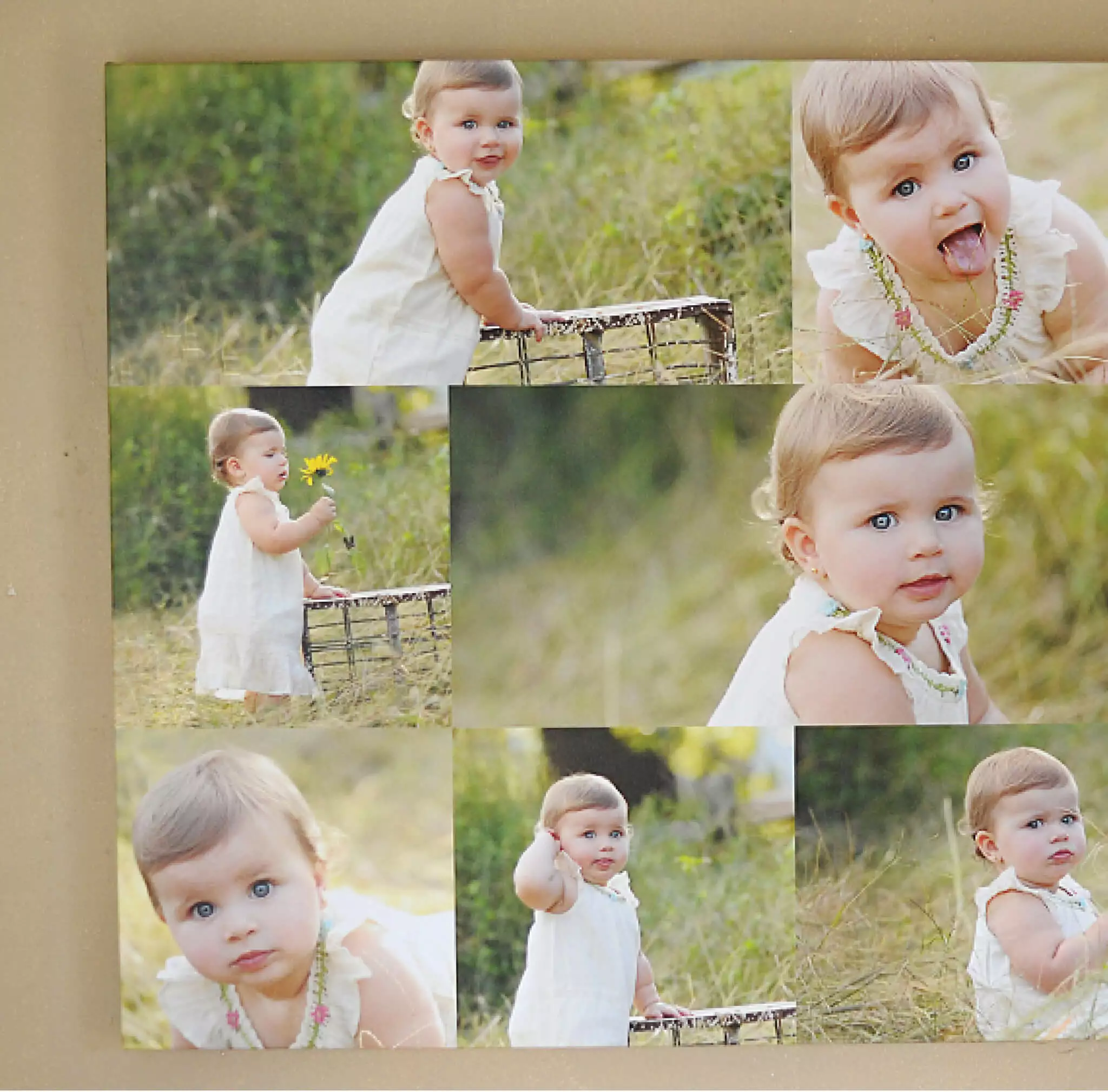 DesignAglow Photo Collage: Larger Than Life Collages & Calendars