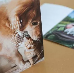 DesignAglow Pet Marketing Suite Marketing Suites