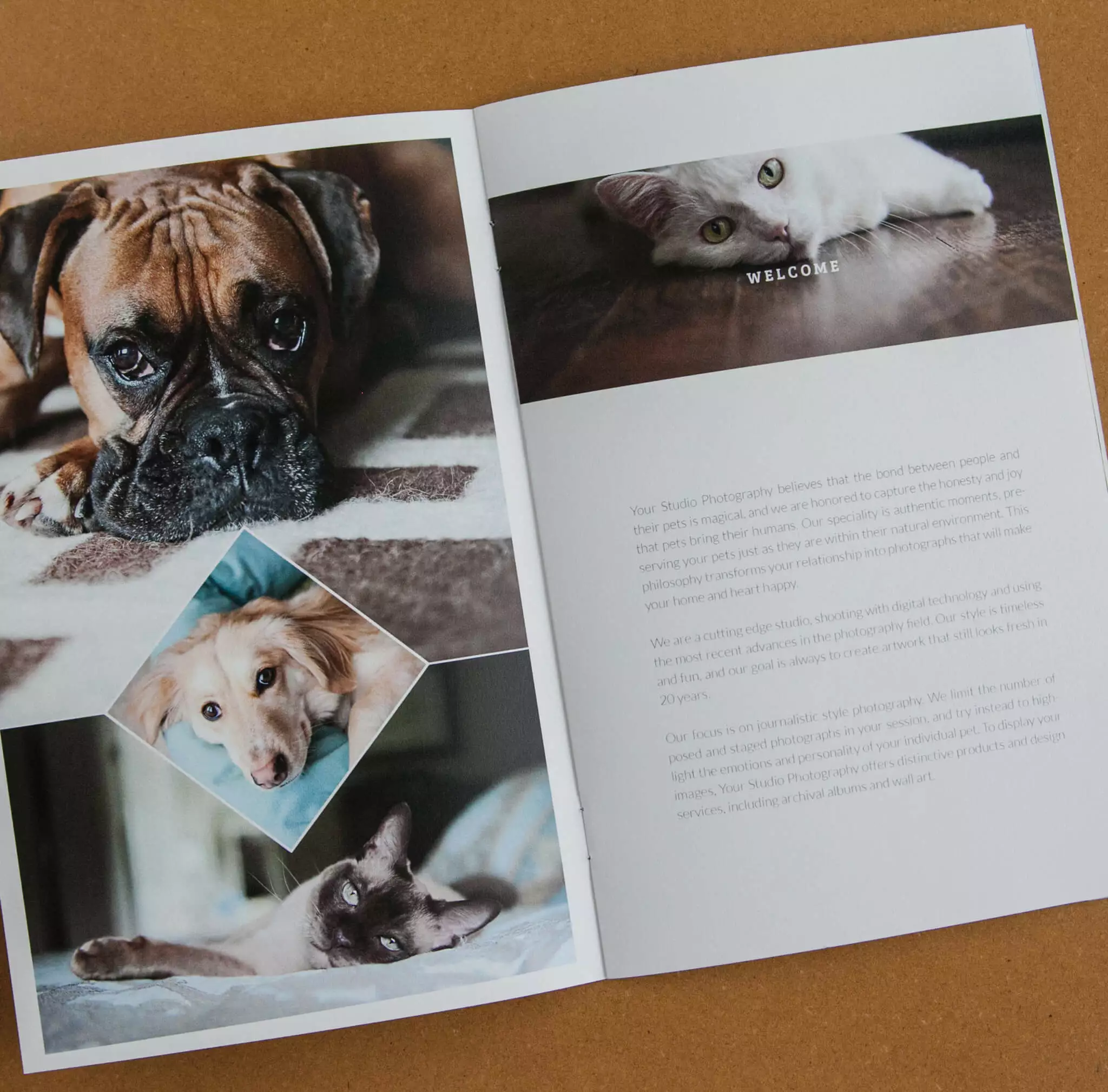 DesignAglow Pet Marketing Suite Marketing Suites