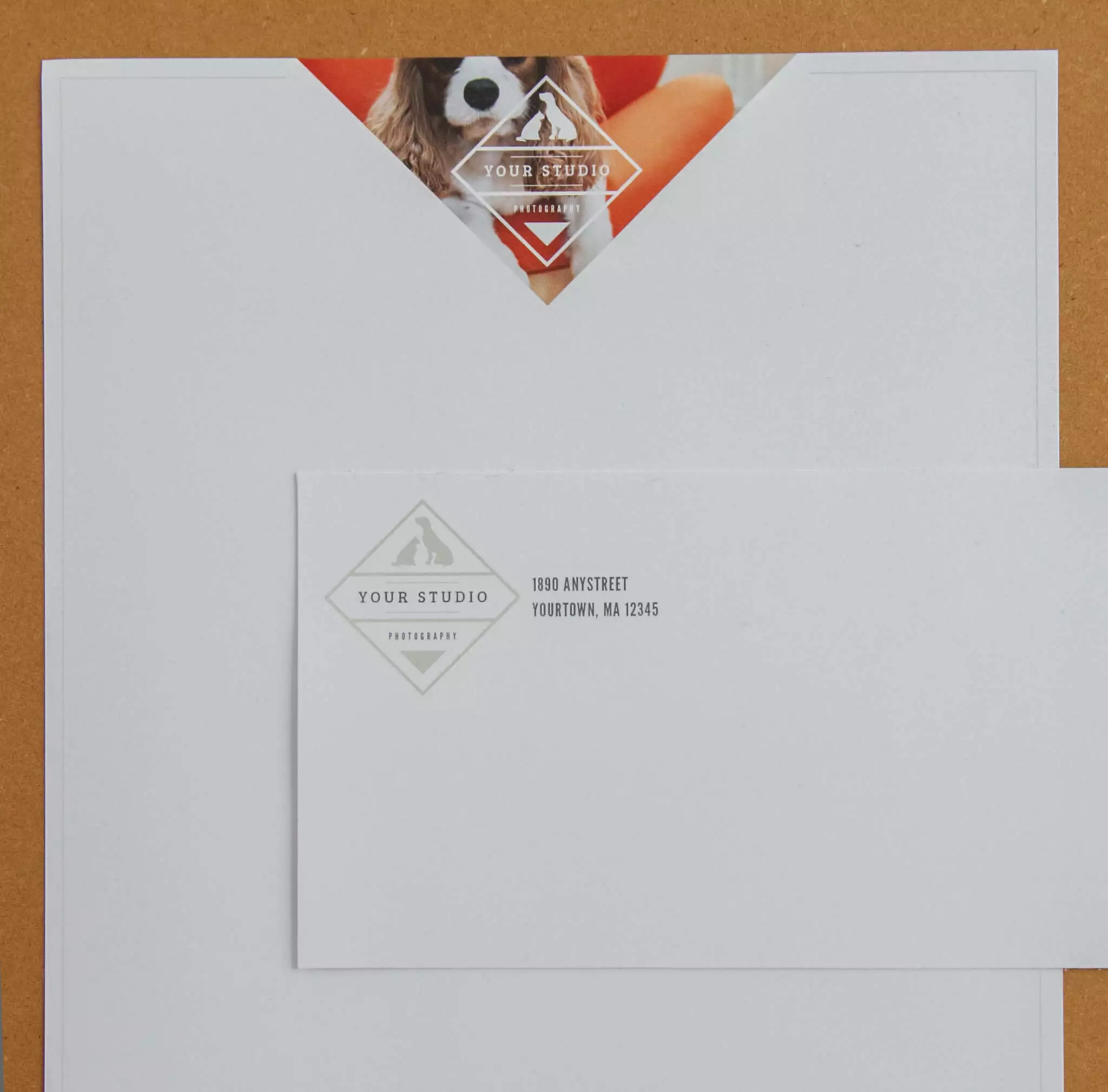 DesignAglow Pet Marketing Suite Marketing Suites