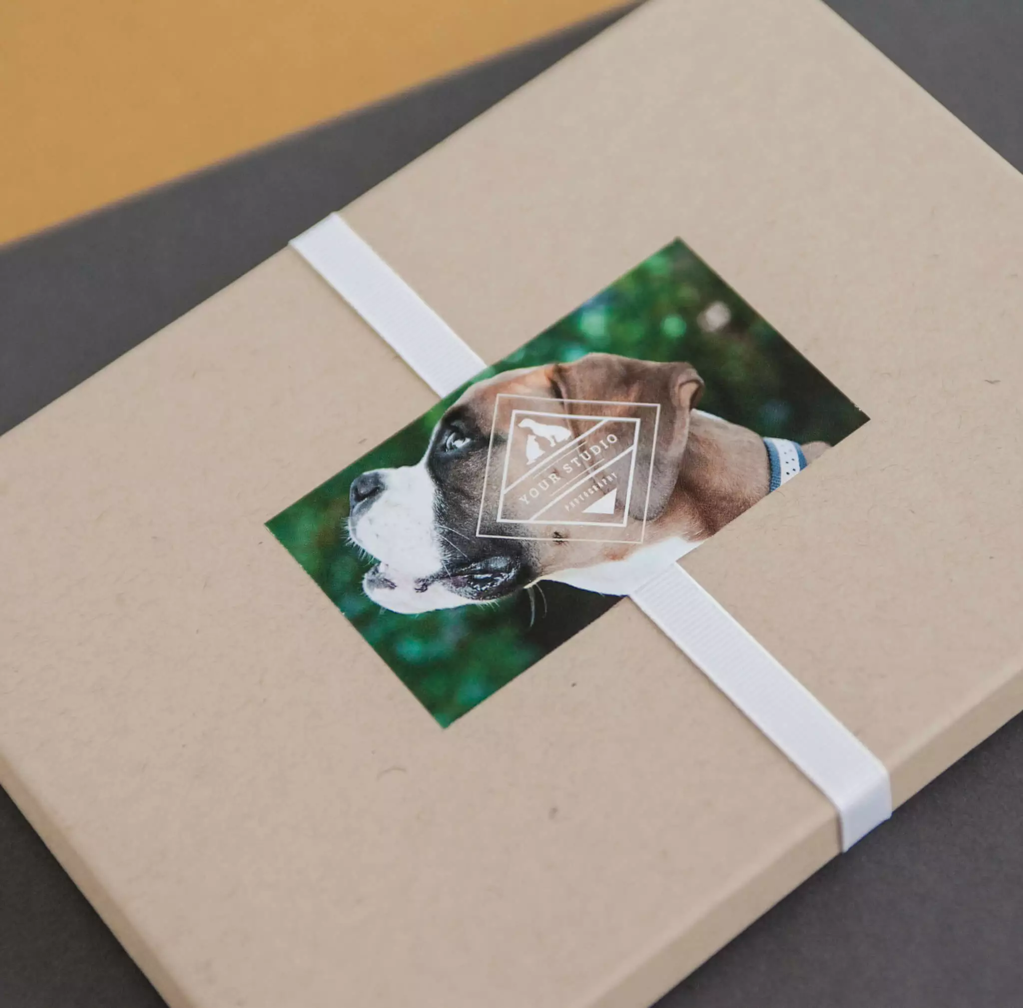 DesignAglow Pet Marketing Suite Marketing Suites