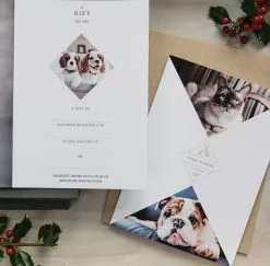 DesignAglow Studio Stationery Studio Gift Certificate Bundle