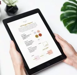 DesignAglow VIDA Style Guide Bold & Fun